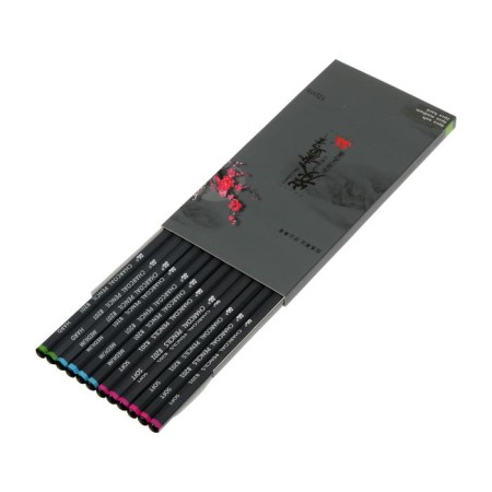 Coal pencils Black 12 pieces in a set (6 rod-soft, 4 derivatives, 2 rnovation)