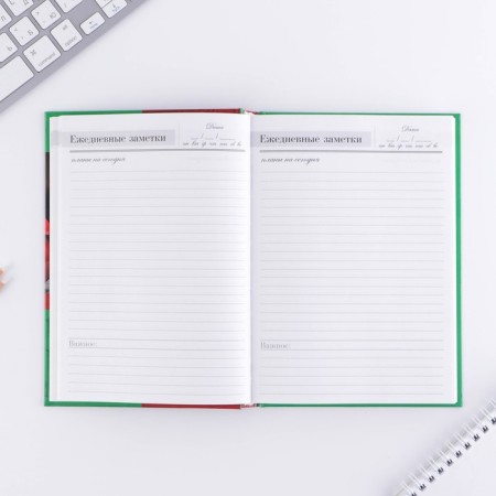 Diary “Teacher: Teacher Diary”, firm cover cardboard 7BC, A5 format, 160 sheets-11
