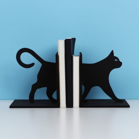 Books and textbooks "Cat"-1