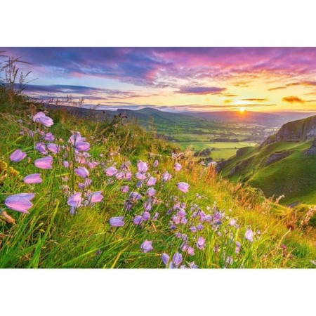 Puzzle "Bells at dawn", 500 elements-1