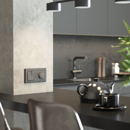 Диммер (графит матовый) W1142064-3