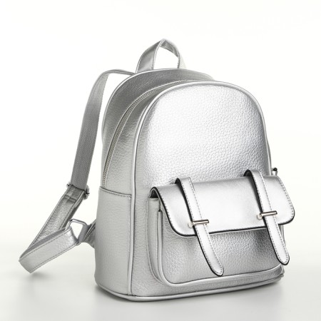 City backpack on a zipper, silver color