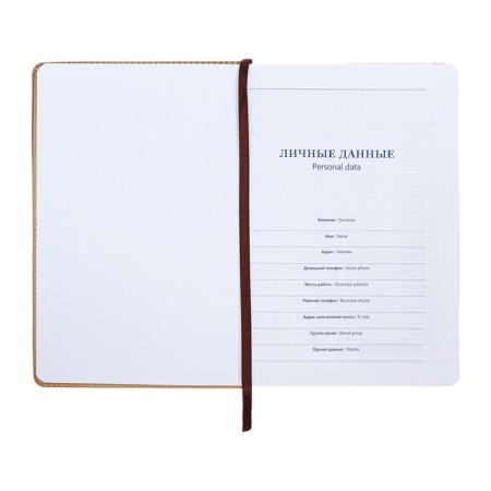 Delicidant Latched, A5, 140l, Cage, Region Kozhzam, with a Slocation, Stripes Beige-6