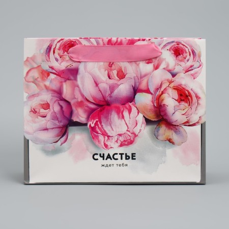 Gift laminated horizontal package, packaging, “happiness is waiting for you” 22 x 17.5 x 8 cm-2