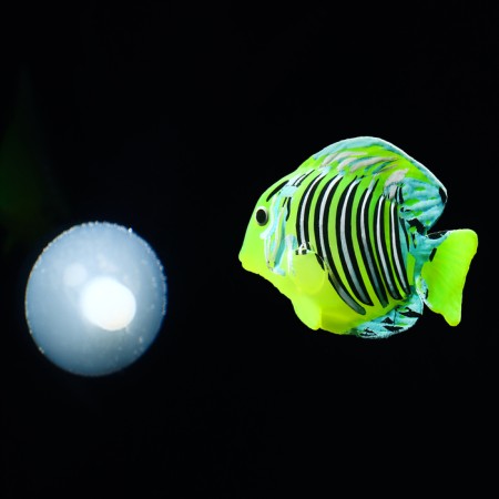 Decor for the Aquarium "Tochelian Fairy", silicone, with a neon effect, 6 x 4 cm-2