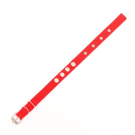 Animal collar-3