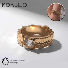 The ring 