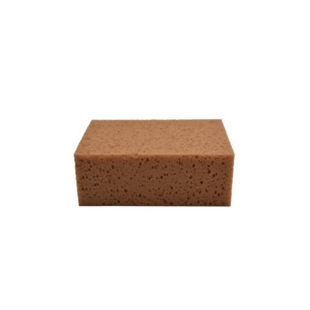 The sponge is super -resistant-1