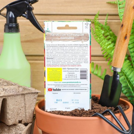 Patisson Kopeika seeds, 7 pcs-1
