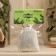 Zaparka for the bath is natural "spruce" 30 g
