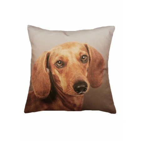 Decorative pillow "Doward dog", size 40x40 cm