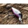 Floating wobbler lj Original shad = x f, 8 cm, color 003