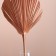 Washingtonia Palm sheet "Peak" 50-60 (+/- 6 cm), 1 pc, col. Copper metallic