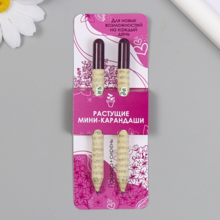 Growing gift pencils Mini "lavender + lilac" set 2 pcs.