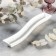 Porcelain dish for Magistro olives "Blanche", 29.5 × 6 cm, white color