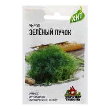 Seeds of dill 
