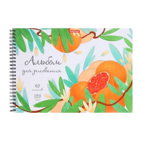 Album for drawing A4, 40 sheets, block 120 g/m², on spirals, Erich Krause "Juice Fruits", plastic cover, 100% white, perforation for separation, solid substrate-2