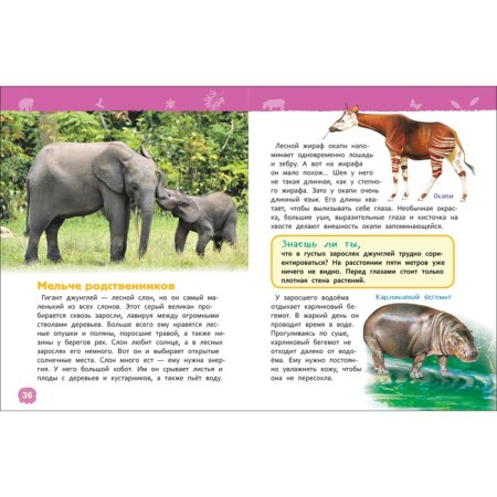 Encyclopedia for the kindergarten "Jungle"-4