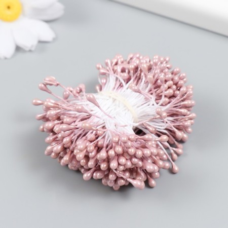 Stamens for flowers "droplets of gloss cappuccino" set 300 pcs length 6 cm-1