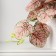 Bonsai in the pot "Singonium Pink" 9x17 cm