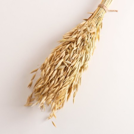 Set of dried flowers "oats", banch length 60-65 (+/- 6 cm), natural-2