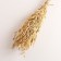 Set of dried flowers "oats", banch length 60-65 (+/- 6 cm), natural