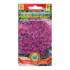 Seeds of thyme creeping 
