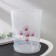 Pot for orchids with a pallet, 3.5 l, the color is transparent