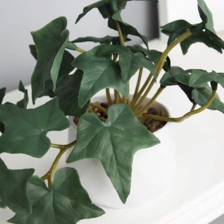 Bonsai in the pot "ivy indoor suite" (soft sheet) 9x6 cm, mix-1