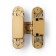 Loop of Lockland hidden installation, 30x110 mm, with 3D regulation, color matte gold