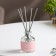 Diffusor "HYGGE" aromatic, 50 ml, delicate rose
