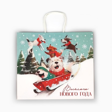 Package Gift New Year's craft "Fairytale New Year", 28 x 15 x 32 cm, New Year-3