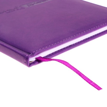 Universal diary for grades 1-11, 48 Velvet sheets, hard cover, artificial leather, thermoting, liesse, block 70 g/m2, purple-4