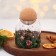 Bank for storage "Winter Stories", 500 ml