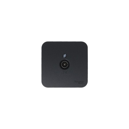 Television socket SE BLANCA, invoice, 1 dB, IP20, color Anthracite, Blnta000016-3