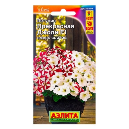 Petunia flowers beautiful Jolie F1 multi -flowered, mixture of colors, 10pcs