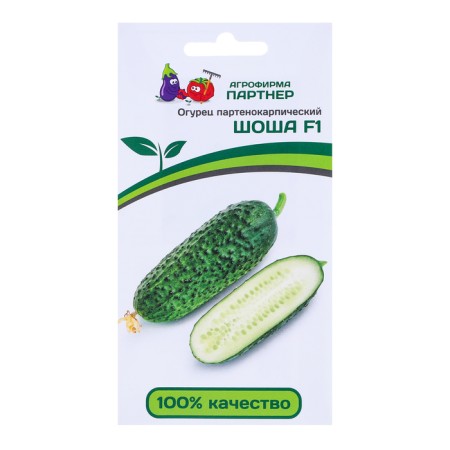 Cucumber seeds "Shosh", F1, 5 pcs.-2