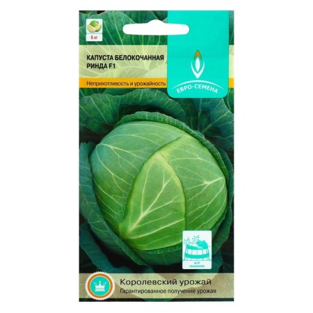 Cabbage seeds of the white Rinda, F1, 15 pcs.