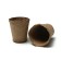 Mini-Penika: 36 × 13 × 12 cm, peat pot 6.5 × 6.5 cm, 12 pcs., Greengo