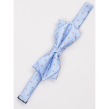 Tie-butter for boys ise, blue color