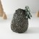 Souvenir Polystone "Cute Hedgehog with Christmas tree" 10x9.5x12.5 cm