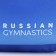 The backpack "Gymnastics" Putin Team, 29 x 13 x 44 cm, lightning department, n/pocket, blue