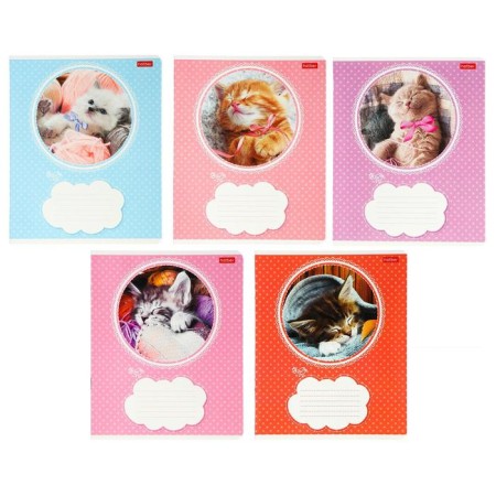 Notebook 18 sheets in the Kitty line, mix