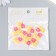 Decor for creativity "Number 5 with an animal" set 10 pcs 1.8x1.8 cm