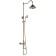 Shower system Rush Flores FLG0835-5, tropical shower, hand watering can, gold