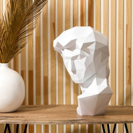 Set for creating a polygonal figure "David", 32.5 x 44 cm-1