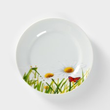 Porcelain plate 