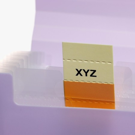 A65 elastic band, 12 departments, purple, pastel-4