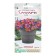 Flower seeds Floral mixture of safari, 4 dragees