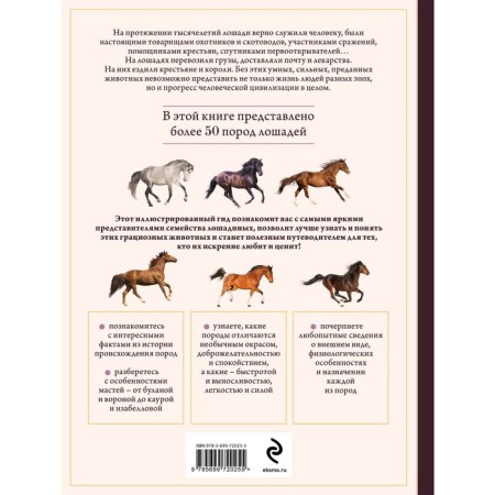 Horses. Illustrated guide on the most popular breeds. Semenova L.S.-1